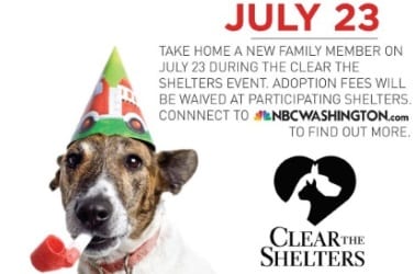 Clear the Shelters Thumb 1