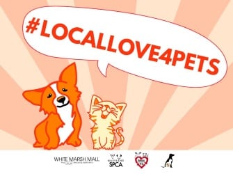 SPCA Local Love Event