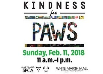 MD SPCA Kindness for Paws 2018