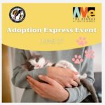 Adoption Express The Avenue White Marsh