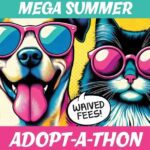 BARCS Summer Adopt A Thon 20240615 Thumb