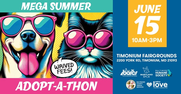 BARCS Summer Adopt A Thon 20240615