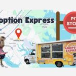 Baltimore County Animal Services Adoption Express Pit Stop Middle River 20240624