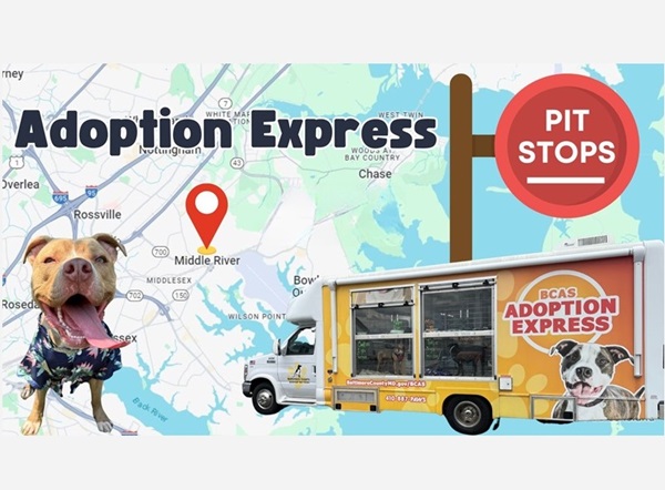 Baltimore County Animal Services Adoption Express Pit Stop Middle River 20240624