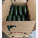 FDA Cucumber Recall 20240601