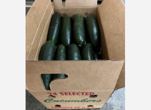 FDA Cucumber Recall 20240601