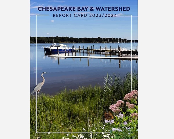 Chesapeake Bay Report Card 2023-2024
