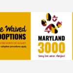 The Avenue White Marsh Maryland 3000 Pet Adoption 20240731