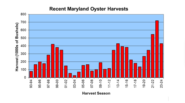 Oyster Harvest Chart 20240802