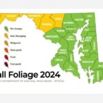 Maryland Fall Foliage Report 20240920