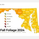 Maryland Fall Foliage Report 20240926