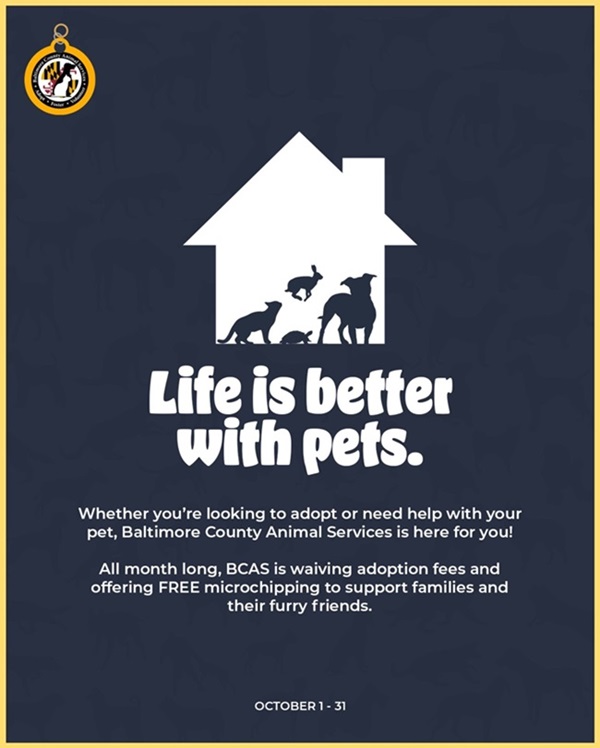 Baltimore County Life Is Better with Pets