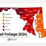 Fall Foliage Report Maryland 20241026