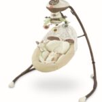 Fisher-Price Snuga Swings