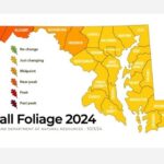 Maryland Fall Foliage Report 20241006