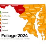 Maryland Fall Foliage Report 20241017