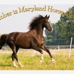 Maryland Horse Month October