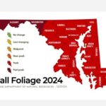 Maryland Fall Foliage Report 20241101