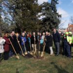 Baltimore County Trees Loch Raven Village 20241205