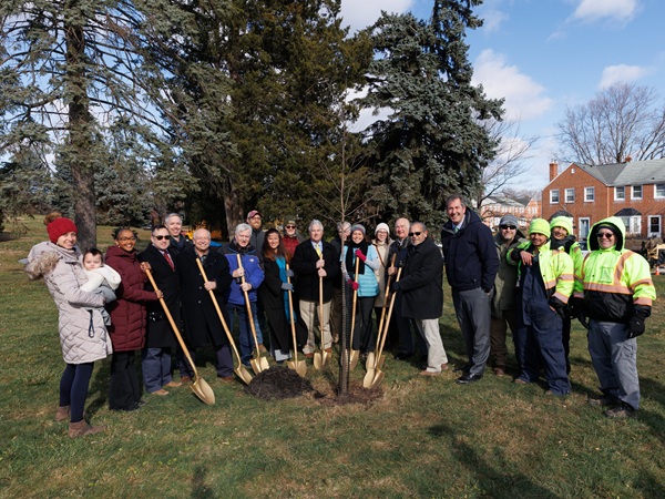 Baltimore County Trees Loch Raven Village 20241205