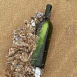 Towson Message in a Bottle Australia 2