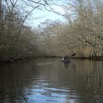 Dividing Creek Rural Legacy Area