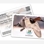 Maryland DNR Waterfowl Photo Contest