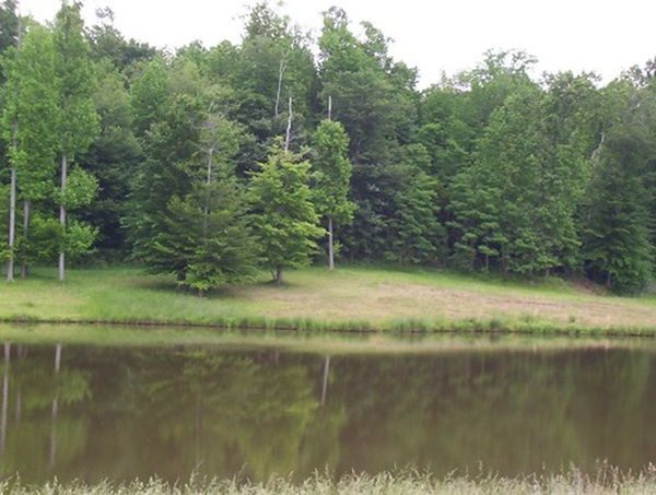 Eastern Shore Heartland Rural Legacy Area